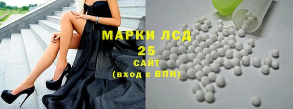 сатива Беломорск