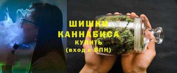 стаф Снежинск