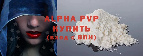 сатива Беломорск