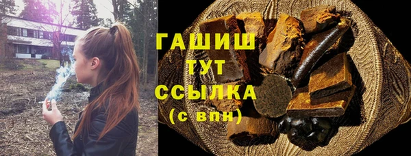 сатива Беломорск
