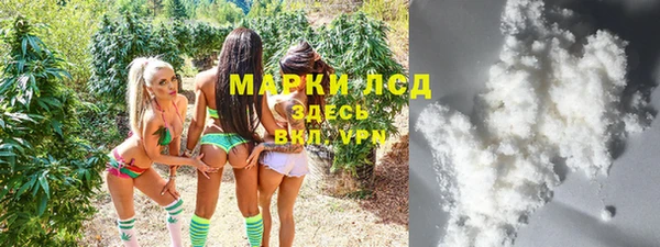 сатива Беломорск