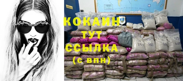 сатива Беломорск