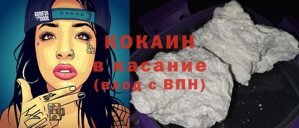 сатива Беломорск