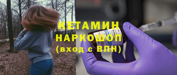 сатива Беломорск
